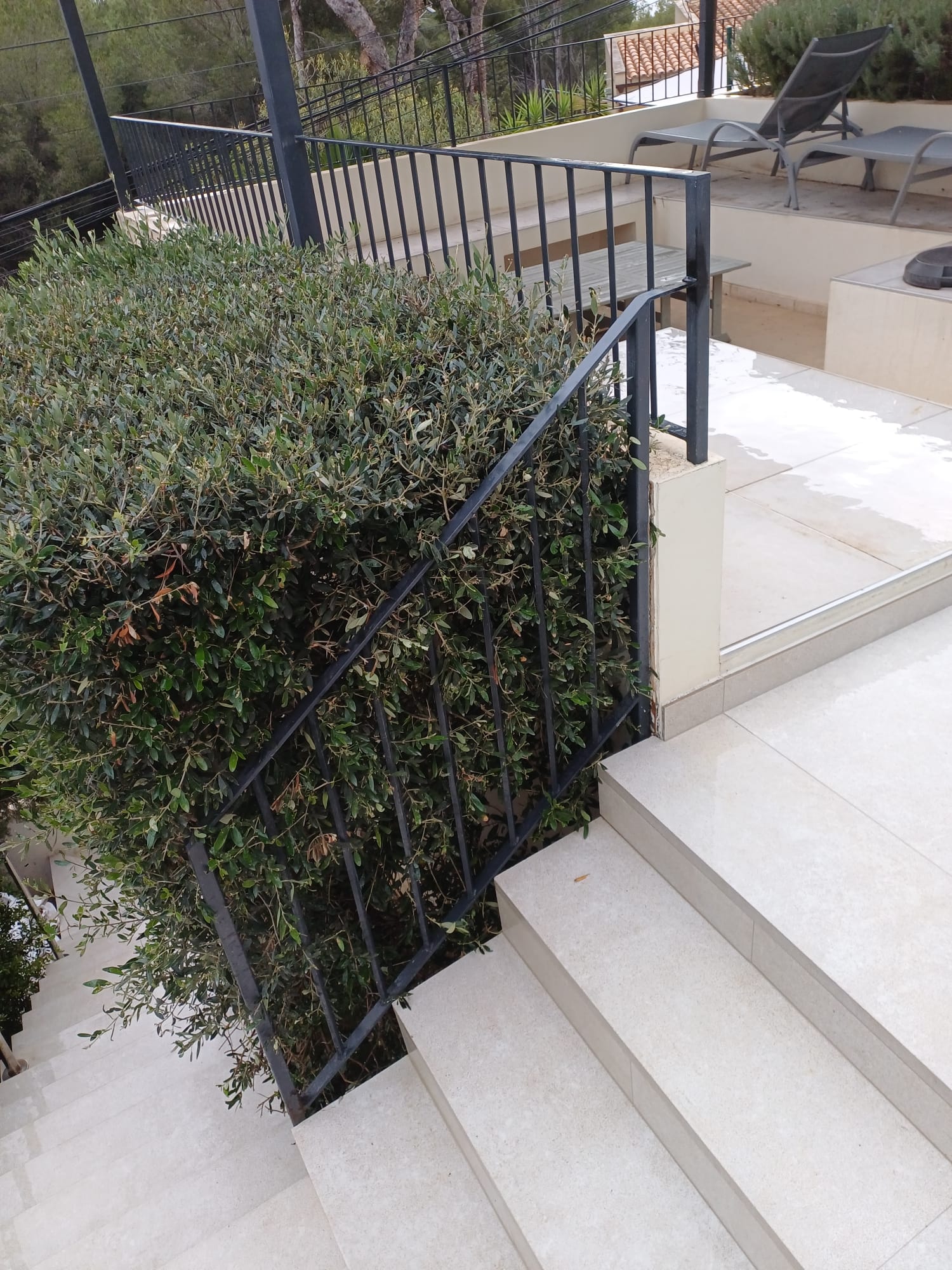 Renovation Project - Business ONE Group