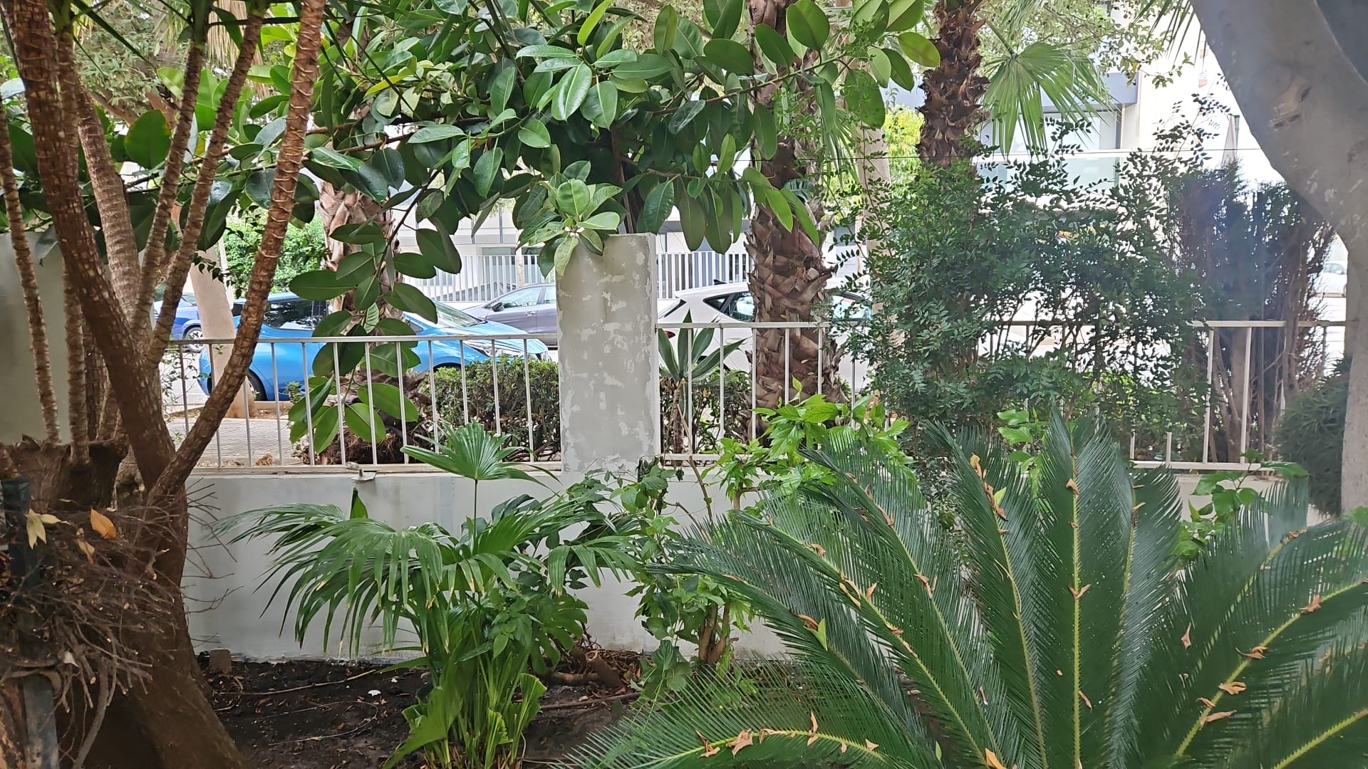 Before Renovation - House mallorca